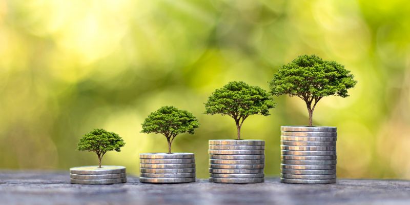 Thu nhập hấp dẫn với chế độ đối tác thâm niên