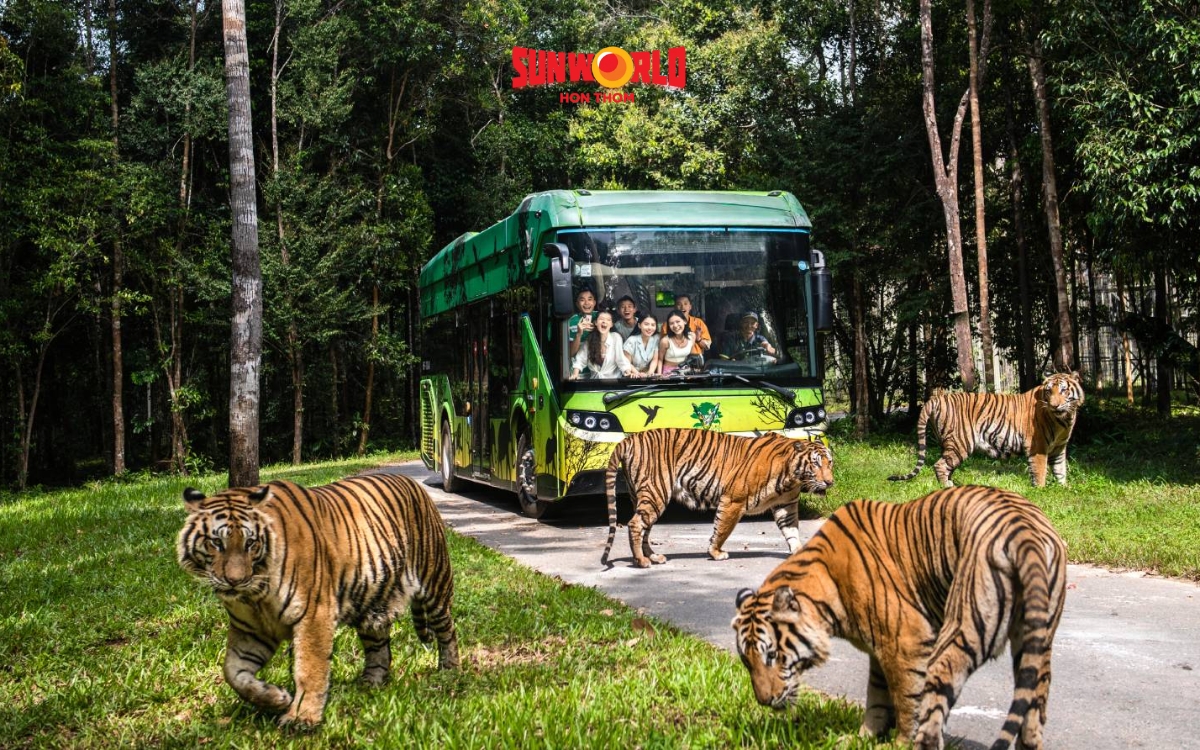 Các điểm du lịch Phú Quốc: Khám phá Safari Phú Quốc