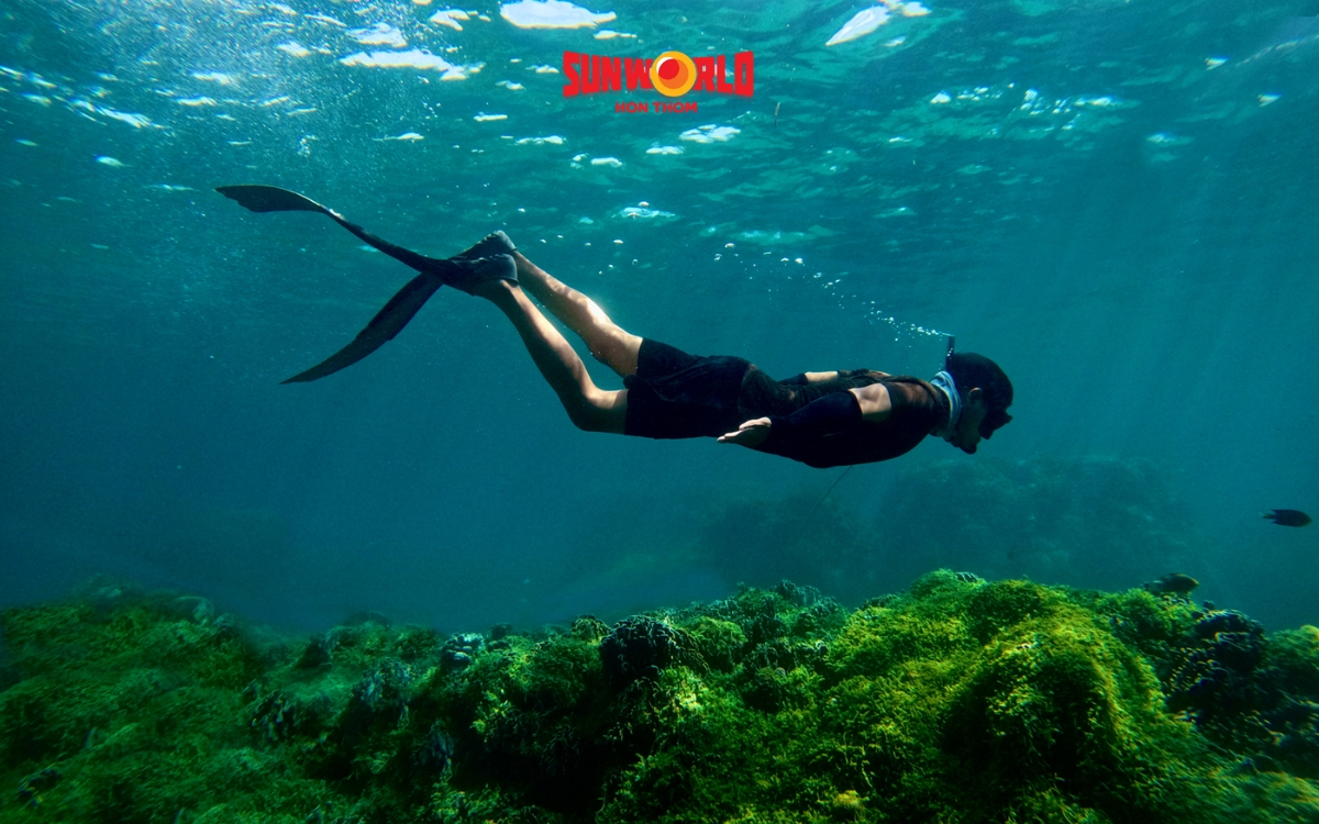 Các trò chơi ở Sun World Phú Quốc: Lặn ngắm san hô 