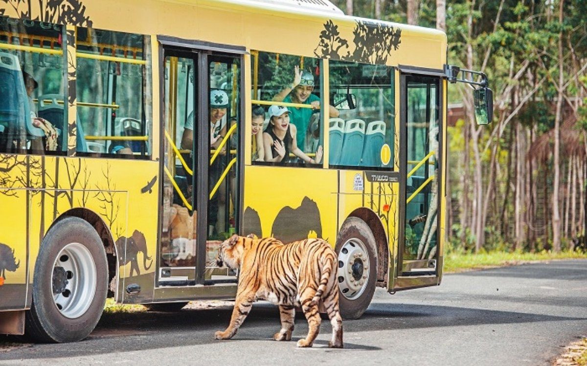 Tham quan VinWonders & Vinpearl Safari khi du lịch Phú Quốc tháng 4