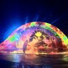 giá vé show nụ hôn biển cả