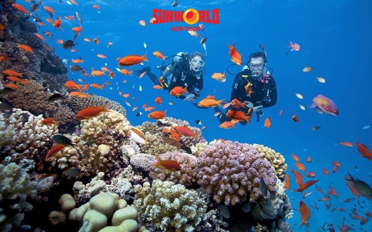 bãi dài phú quốc