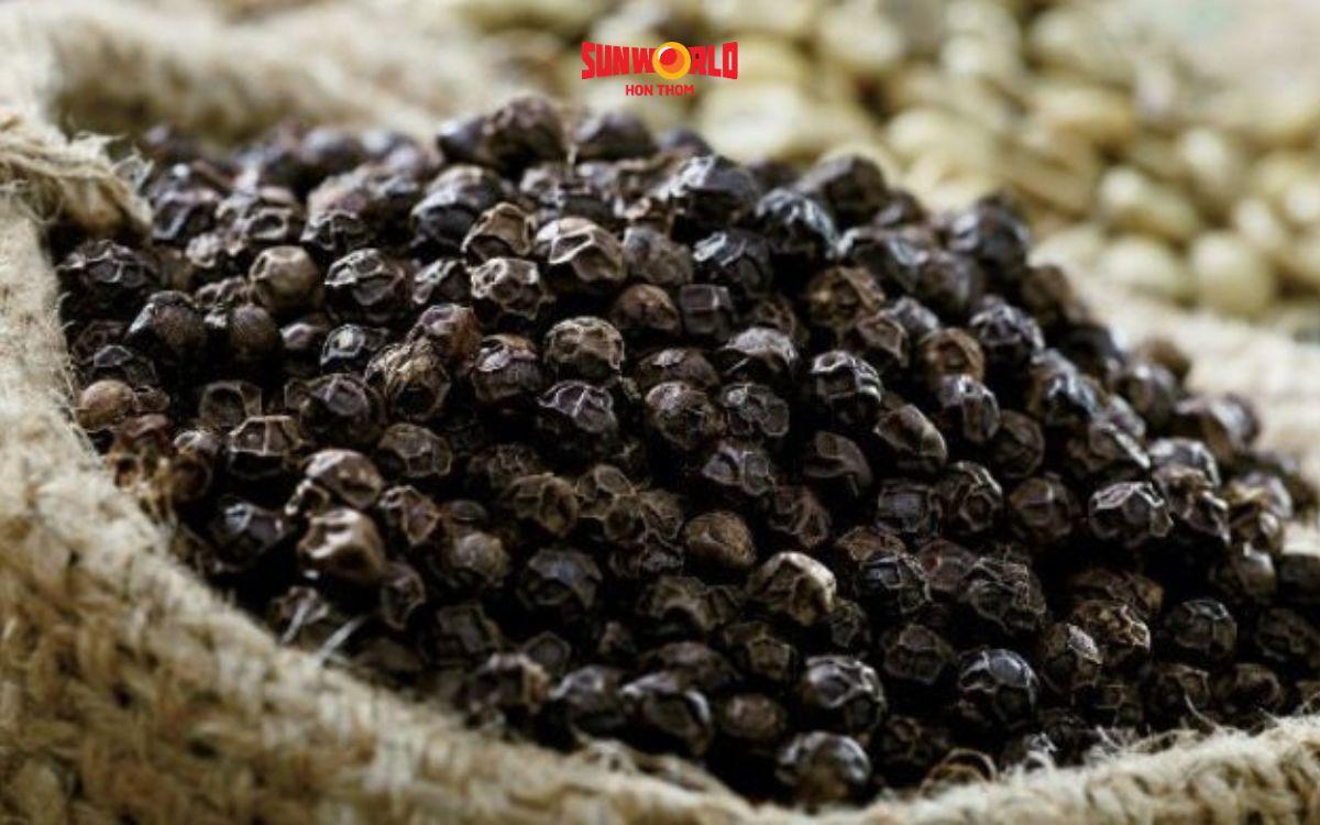 vườn tiêu phú quốc