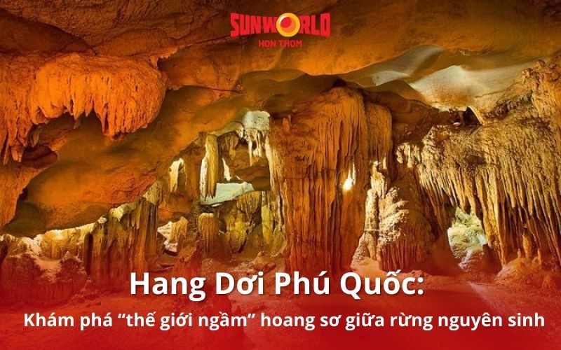 Hang Dơi Phú Quốc: Khám phá “thế giới ngầm” hoang sơ giữa rừng nguyên sinh